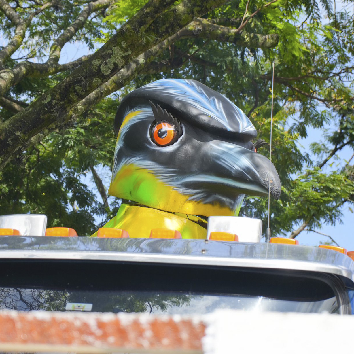 photo-2025-08-16-15-42-18 6